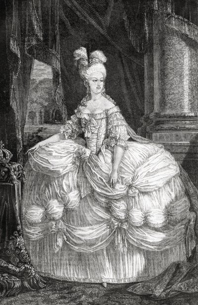 Portrait of Marie Antoinette by French School